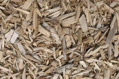 biomass boilers Logie Pert